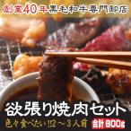 色々食べたい 欲張り 焼肉セット (2〜3人前)A4等級 宮崎牛 カルビ や 牛タン シロコロホルモン 等  焼肉用の肉 焼肉用肉 焼肉セット お歳暮
