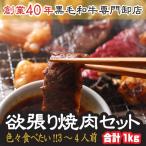 送料無料 色々食べたい 欲張り 焼肉セット 3〜4人前 計1キロ 宮崎牛 カルビ や 牛タン シロコロホルモン 焼肉用の肉 焼肉用肉 焼肉 お歳暮