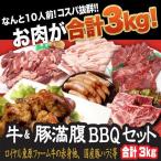 10人前 牛 & 豚 満腹セット BBQセット 牛肉 焼き肉 焼肉 国産 和牛 焼肉  肉 ギフト 焼肉用の肉 焼肉用肉 焼肉セット 訳あり 肉  お中元