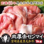 センマイ 肉 BBQ 鍋 宮崎県産 黒毛和牛 赤センマイ ギアラ 100ｇ×10パック 計1kg もつ煮 どて煮 送料無料 ホルモン【赤セン１kg】