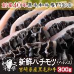 ショッピング円高還元 ハチノス 肉 ホルモン A5　宮崎県産 黒毛和牛 ハチモツ ハチノス 300ｇ（100ｇ×3）送料無料【ハチノス300】