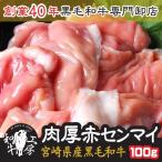 肉 お歳暮 ギフト 2021 鍋 A5 宮崎県産 黒毛和牛 肉厚 赤センマイ ギアラ 100ｇ もつ煮 どて煮 ホルモン