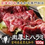 宮崎県産 黒毛和牛 希少品 肉厚 上ハラミ サガリ 100ｇ 焼き肉 焼肉 お歳暮 高級肉 ギフト 肉 はらみ 国産ハラミ