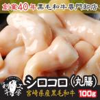 父の日 お中元 ギフト 丸腸 肉 ホルモン 鍋 A5 宮崎県産 黒毛和牛 希少 丸腸 100ｇ シロコロホルモン 大とろ マルモツ 【丸】