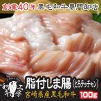 お中元 しま腸 肉 ホルモン 鍋 A5 宮崎県産 黒毛和牛  脂付 しま腸 100ｇ 大とろ テッチャン もつ煮  どて煮 【脂しま】