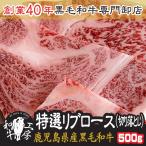 肉 お歳暮 ギフト 2021 鹿児島県産 黒毛和牛 特選 リブロース 切り落とし 500ｇ 訳あり カット厚切 ブロック肉 ギフト 送料無料