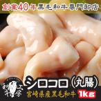 父の日 お中元 丸腸 肉 ホルモン 鍋 宮崎県産 黒毛和牛 丸腸 200ｇ×5パック 計1kg シロコロ 大トロ もつ煮 どて煮 送料無料【丸腸１kg】