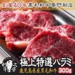 ハラミ 肉 BBQ 鹿児島県産 A5 最高ランク 黒毛和牛 極上特選 ハラミ 300g 塩こしょう付き ギフト 送料無料 ホルモン【特ハラ300】