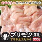 ショッピング円高還元 盲腸 肉 ホルモン 鍋 宮崎県産 黒毛和牛 プリモツ 盲腸 100g×3パック 計300g 送料無料【盲腸300】