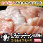 ショッピング円高還元 しま腸 肉 ホルモン 鍋 A5 宮崎県産 黒毛和牛 テッチャン しま腸 300ｇ (100ｇ×3）もつ煮 送料無料【しま腸300】