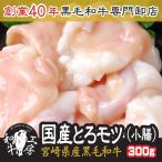 30％OFF【ブラックフライデーセール 3,350円→2345円！ 】 ホルモン もつ 肉 宮崎県産 黒毛和牛 大とろ 小腸 100g×3 計300g もつ煮 焼肉【小300】