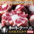 テール 肉 ホルモン 鍋 牛ホルモン卸店の九州産 黒毛和牛テール カット済み 500ｇ Ａ5ランク和牛ホルモン ブロック【テール500】