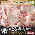 ホルモン 肉 BBQ 宮崎県産 黒毛和牛 脂付コリコリ 100g×3パック 計300g 希少大とろコリコリ ハツモト 送料無料 【脂コリ300】
