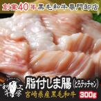 ショッピング円高還元 しま腸 肉 ホルモン 鍋 宮崎県産 黒毛和牛  脂付 しま腸 100g×3パック 計300g とろ テッチャン ホルモン もつ煮 どて煮 送料無料【脂しま300】