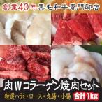 【6/29.30限定　30％OFF！ 】Ｗ コラーゲン 焼肉セット　3〜4人前 特選ハラミ 国産牛ロース 和牛シロコロホルモン