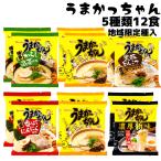 うまかっちゃん 九州限定 濃厚新味 ラーメン 高菜 黒豚 ニンニク 5種類 12食 食べ比べ お取り寄せグルメ