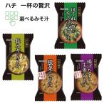 味噌汁 フリーズドライ インスタント ハチ 即席味噌汁 お試し商品 サンプル食品 長ネギ 根菜 ほうれん草 キャベツ 揚げなす 生姜 爆買