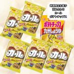 ポイント利用 ポイント消化 お菓子 詰め合わせ カール うすあじ ポテトチップス 九州しょうゆ味 カルビー 九州限定 スナック菓子 詰め合わせ