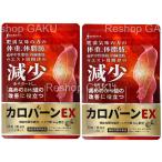 在庫処分 2袋セット カロバーンEX 30日分 賞味期限:2027年3月