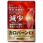 在庫処分 カロバーンEX 30日分 賞味期限:2026年12月