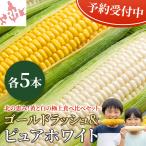  Hokkaido кукуруза еда . сравнение комплект 10 шт. входит . Gold Rush чисто-белый .. высота сахар раз сырой еда OK белый кукуруза утро .. свежий фрукты кукуруза лето овощи 