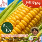  Hokkaido кукуруза Gold Rush 5 шт. входит .10 шт. входит ... высота сахар раз утро .. свежий фрукты кукуруза лето овощи . прямая поставка от производителя ваш заказ подарок 