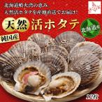  гребешок Hokkaido корень . производство натуральный . гребешок 10 листов . имеется sashimi OK.. мясо толщина морепродукты ваш заказ гурман подарок 