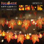 ハロウィンライト ハロウィン飾り LED 20/40球 3/6メートル かぼちゃ 人工紅葉 パンプキンライト Halloween装飾 パーティーイルミネーション 電池式 USB式