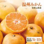 味楽堂 みかん 訳あり 5kg 10kg 和歌山県産 大サイズ 温州みかん 柑橘 果物 箱 買い フルーツ