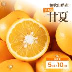 味楽堂 甘夏 訳あり 10kg 和歌山県産 サイズ混合 S〜3Lサイズ みかん 柑橘 果物 箱 買い フルーツ