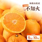 味楽堂 不知火 訳あり 10kg 和歌山県産 サイズ混合 S〜4Lサイズ しらぬい みかん 柑橘 果物 箱 買い フルーツ