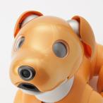  Sony 2020 год ограничение aibo Aibo домашнее животное робот собака бытовая техника карамель выпуск [ б/у ]