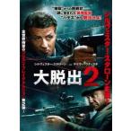  большой ..2 прокат б/у DVD