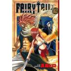 FAIRY TAIL フェアリーテイル 12 レンタル落ち 中古 コミック Comic