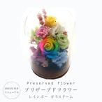 プリザーブドフラワー レインボー ガラスドーム 花 ギフト レインボーローズ ボトル ガラス 誕生日 お供え ペット お祝い お見舞 おしゃれ プレゼント 母の日