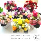 プリザーブドフラワー ギフト Romane 