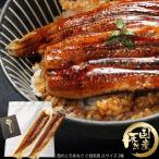 長崎県対馬産 天然 金穴子 西のとろあなご ご自宅用 2Lサイズ 2尾(1尾130g目安) 煮穴子 国産 あなご アナゴ お取り寄せ グルメ 丼 巻物 にぎり 寿司 肴 ご褒美