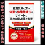  body жир защита EX 60 шарик 30 день минут функциональность отображать еда | масса body жир . внутренности жир . талия окружение диаметр. снижение . поддержка дополнение e ковер кислота supplement 