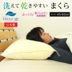 枕 まくら 洗える枕 43×63cm インビスタ ダクロン フレッシュ 日本製 洗える ウォッシャブル 速乾 安眠枕 快適枕 抗菌 高め ピロー アレルギー対策