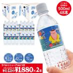 ショッピングシリカ水 【48本セット】富士山麓 天然水 シリカ水 バナジウム水 ミネラルウォーター 500ml×24本×２箱 みずごこち 天然ミネラル 軟水   水 イラストボトル