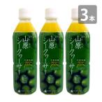 山原シークワーサー 500ml×3本セット 沖縄 シークワーサー 原液 シークヮーサー 果汁 100% 山原シークヮーサー 送料無料 琉球フロント