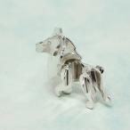 ティファニー Save the Wild ライオン ダイヤモンドブローチ ピンタック/Sv925-8.2g/0.01ct/シルバー/TIFFANY ＆ Co. /RF3/h210827/404748