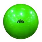 ニシスポーツ ノンバーストVボール（65cm） 陸上 ランニング ニシトレーニング用品 NT5873C
