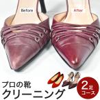  в оба конца бесплатная доставка выгодный 2 пара план обувь чистка уход работник уборная полировальный постоянный course кожа обувь 