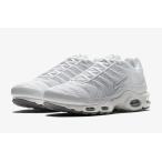NIKE AIR MAX PLUS ナイキ エアマックス プラス 604133 139