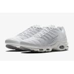 NIKE AIR MAX PLUS ナイキ エアマックス プラス　604133 139