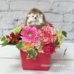 [ natural flower arrange ] hedgehog * Landy ( Brown ) mascot attaching season. . flower. milk BOX flower arrangement FL-AR-428