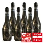 ショッピング送 送無 セット6 マリーナ エスプマンテ ブリュット 黒 750ml×6本 スパークリング 送料無料 ワイン スパークリングワイン 酒 結婚祝い プレゼント ギフト お祝い