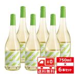 送無 セット6 フーゴ 白 750ml×6本 ドイツ 白ワイン エルダーフラワー 送料無料