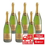 ショッピング送 送無 セット6 ルイ ヴェイエ ブリュット 750ml×6本 セット シャンパン 送料無料 ギフト スパークリングワイン シャンパーニュ 結婚祝い